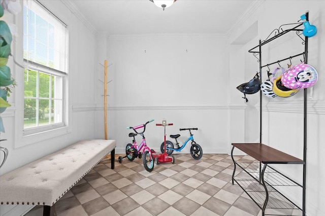 recreation room with ornamental molding