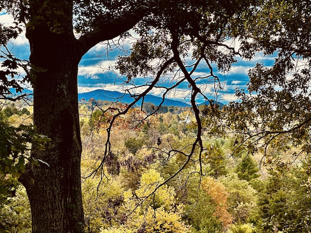 mountain view featuring a wooded view