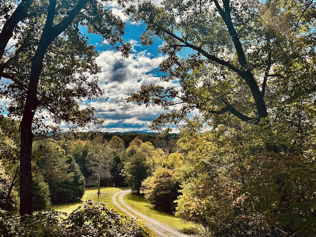 exterior space with a wooded view