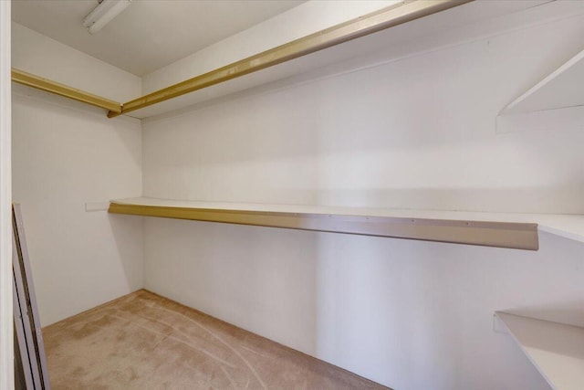 spacious closet with light carpet