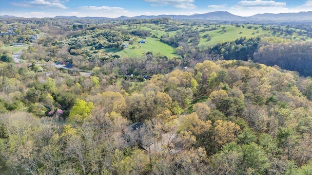 birds eye view of property with a forest view and a mountain view
