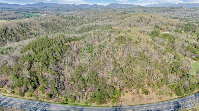 drone / aerial view featuring a view of trees and a mountain view