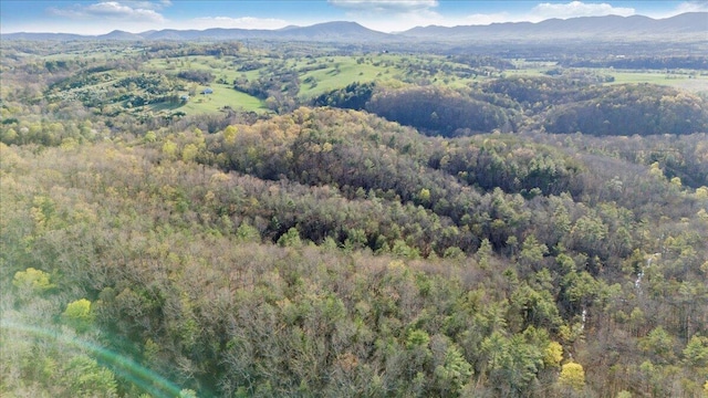 drone / aerial view with a view of trees and a mountain view