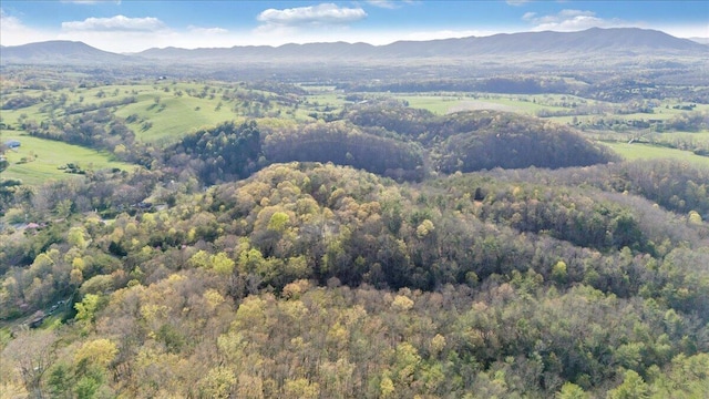 birds eye view of property featuring a view of trees and a mountain view