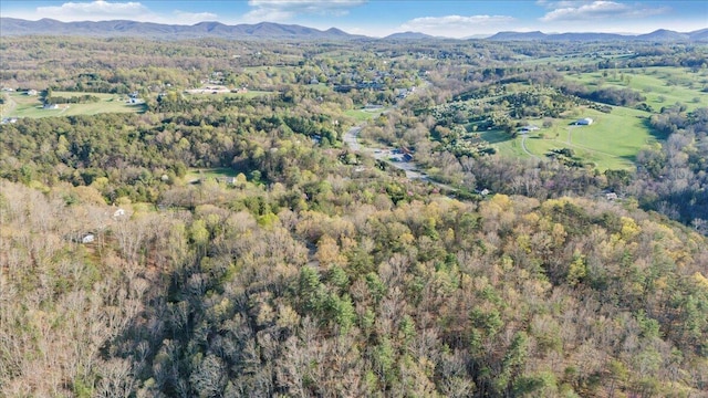 birds eye view of property with a wooded view and a mountain view