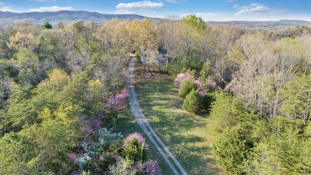 bird's eye view featuring a forest view and a mountain view