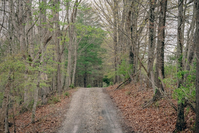 4048 Cabin Land Dr, Radford, VA 24141