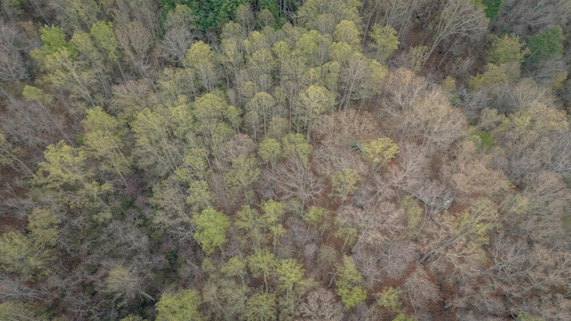 4048 Cabin Land Dr, Radford, VA 24141