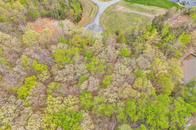 LOT40 Harbour Crossing Dr, Moneta, VA 24121