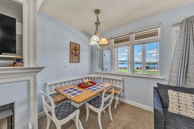 1245 Graves Harbor Trl Unit 206, Huddleston, VA 24104 - carpeted dining area featuring baseboards