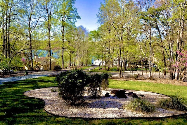 view of property's community with a lawn