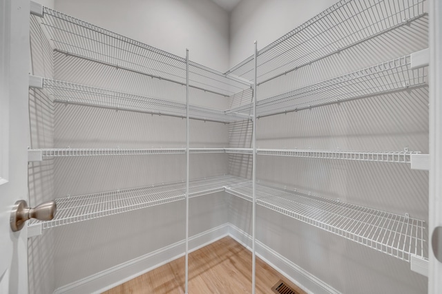 45 Island Green Rd, Daleville, VA 24083 - view of pantry