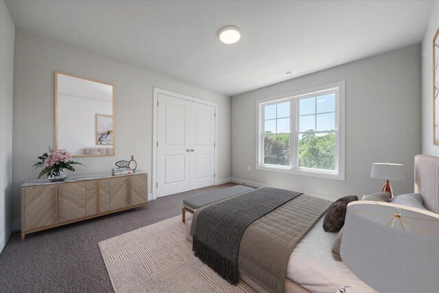 45 Island Green Rd, Daleville, VA 24083 - carpeted bedroom featuring a closet