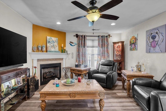 38 Point Pleasant Ave, Salem, VA 24153 - living area with recessed lighting, wood finished floors, and a fireplace