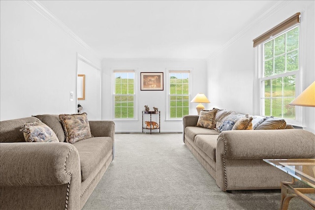 living area with ornamental molding and carpet flooring