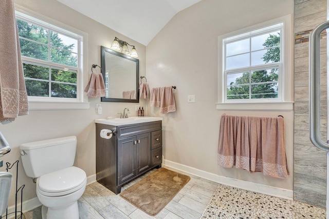 2626 Avenham Ave SW, Roanoke, VA 24014 - full bathroom with lofted ceiling, vanity, baseboards, and plenty of natural light