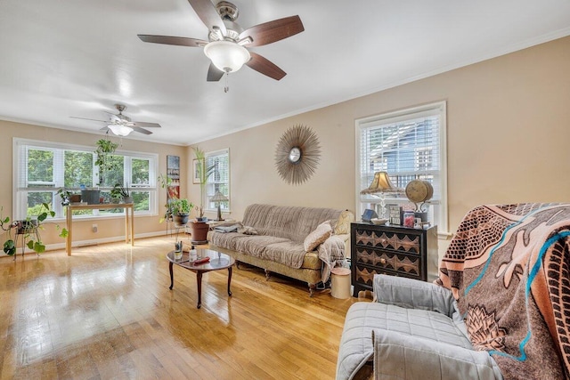 2626 Avenham Ave SW, Roanoke, VA 24014 - living room featuring crown molding, a ceiling fan, light wood-type flooring, and baseboards