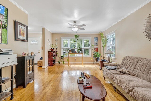 2626 Avenham Ave SW, Roanoke, VA 24014 - living room with light wood finished floors, baseboards, ceiling fan, and ornamental molding
