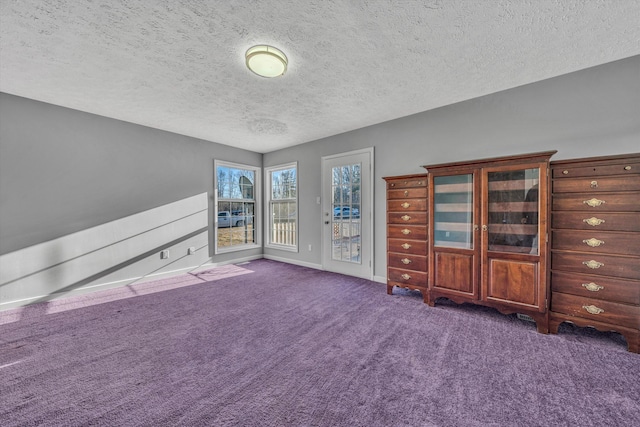 interior space featuring carpet, baseboards, access to outside, and a textured ceiling