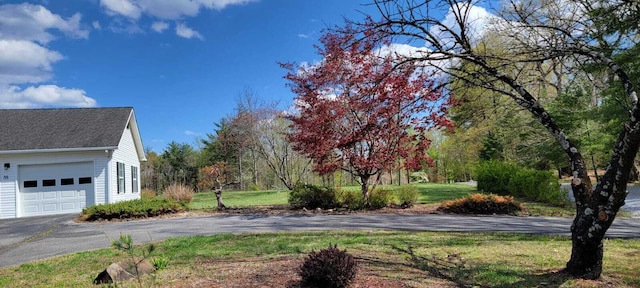 view of yard featuring a garage and aphalt driveway