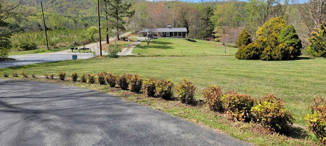 view of yard with a forest view and a rural view
