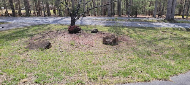 view of yard with a wooded view