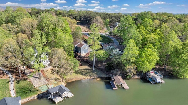 bird's eye view featuring a view of trees and a water view