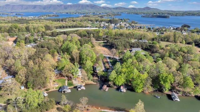 bird's eye view with a water and mountain view and a view of trees