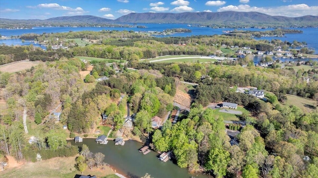 birds eye view of property with a water and mountain view and a view of trees