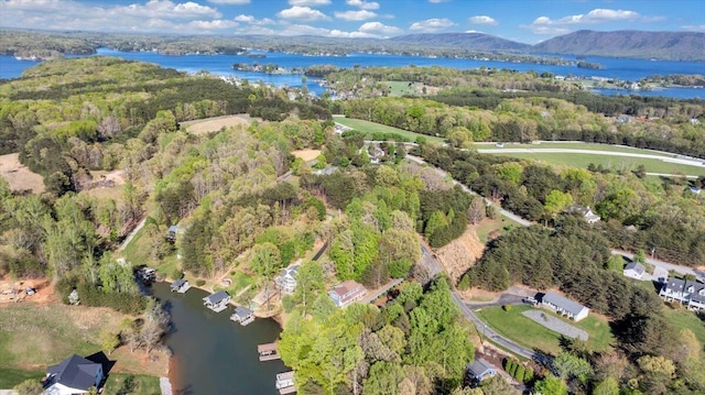 drone / aerial view with a view of trees and a water view