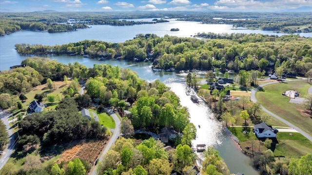 birds eye view of property with a water view and a wooded view