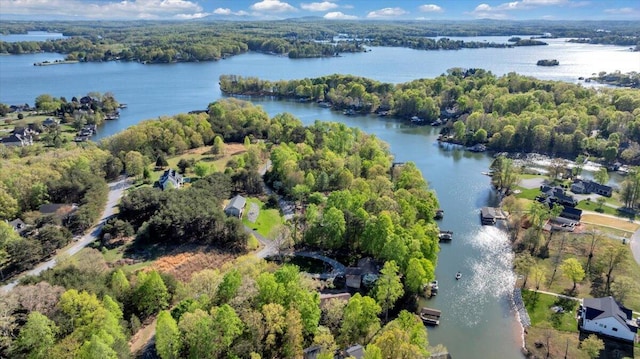 bird's eye view featuring a wooded view and a water view