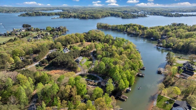 bird's eye view with a water view and a wooded view