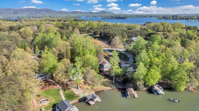 birds eye view of property with a water and mountain view and a view of trees