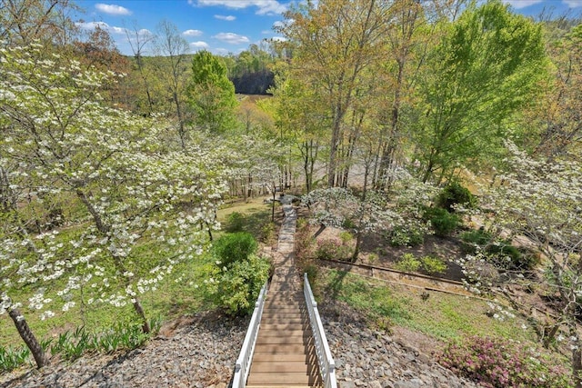 view of nature featuring a view of trees