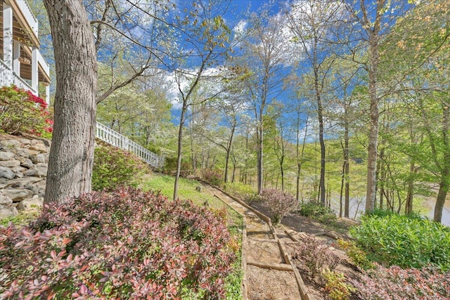 view of yard with stairway