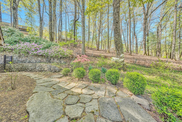 3421 Exeter St SW, Roanoke, VA 24014 - view of yard