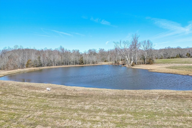 property view of water featuring a view of trees