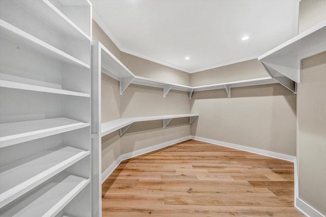 walk in closet featuring wood finished floors
