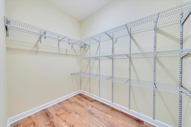 spacious closet featuring wood finished floors