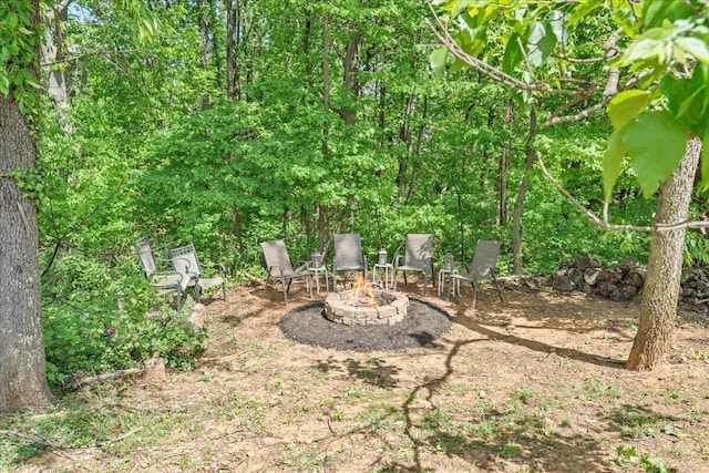 view of yard featuring an outdoor fire pit