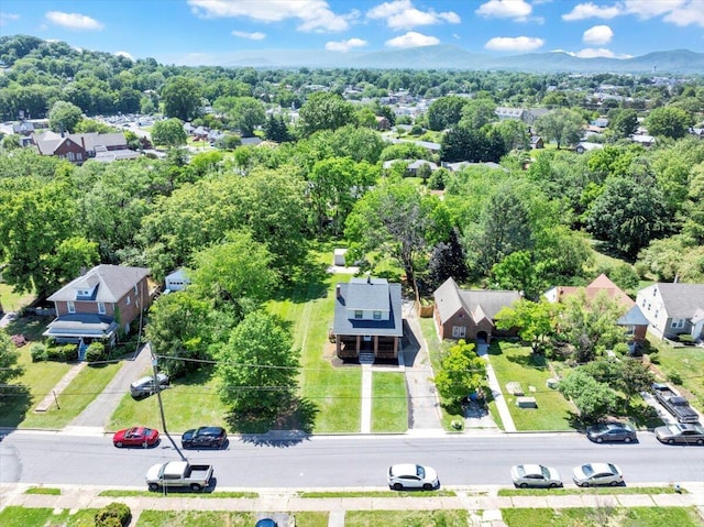 bird's eye view