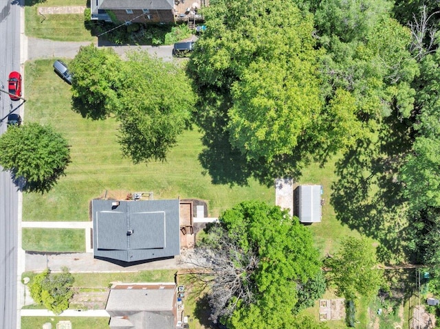 bird's eye view