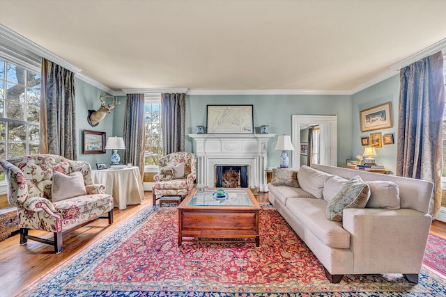 420 S Church St, Fincastle, VA 24090 - living area featuring wood finished floors, crown molding, and a fireplace