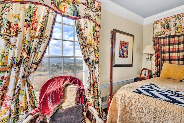 420 S Church St, Fincastle, VA 24090 - bedroom featuring crown molding and multiple windows