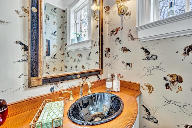 420 S Church St, Fincastle, VA 24090 - bathroom with a sink and ornamental molding
