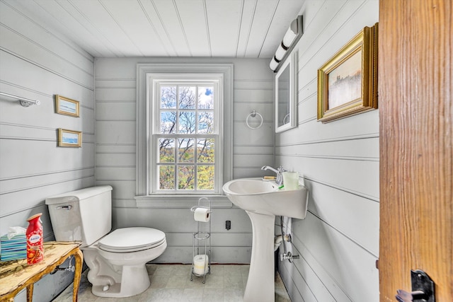 420 S Church St, Fincastle, VA 24090 - half bathroom featuring toilet, wooden walls, and wood ceiling