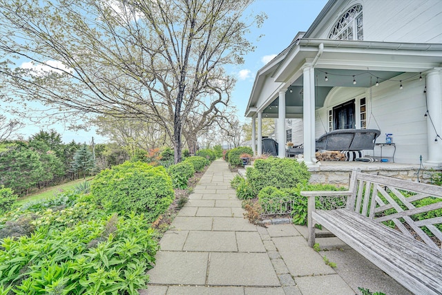 420 S Church St, Fincastle, VA 24090 - view of patio / terrace with a porch