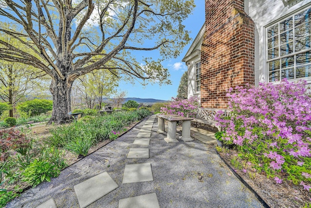 420 S Church St, Fincastle, VA 24090 - view of patio / terrace