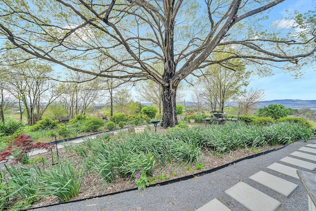 420 S Church St, Fincastle, VA 24090 - view of home's community with a mountain view